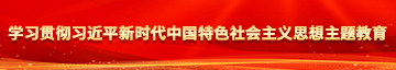 操逼穴视频学习贯彻习近平新时代中国特色社会主义思想主题教育